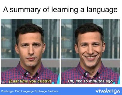 brooklyn 99 language learning meme